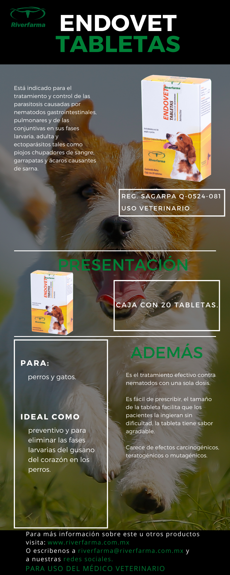Endovet Tabletas